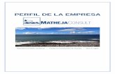 PERFIL DE LA EMPRESA - matheja-consult.com · Bote de sondeo (L=6,5 m, desmontable, desmontable, calado = 0,8 m, 2 x 60 PS Mercury, remolcable) para la instalación de cabezas de
