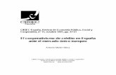 El cooperativismo de crédito en España ante el mercado ...ciriec-revistaeconomia.es/wp-content/uploads/rev11_05.pdf · 1) Tras la integración y consolidación en el D.G. Bank de