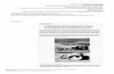 XAVIER MONTEYS E PERE FUERTES, ARQUITECTOS Casi Casas ...home.fa.utl.pt/~clameiro/PDF/_Texto_2_2008.pdf · in casa collage, un ensayo sobre la arquitectura de la casa, barcelona,