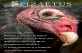SpizaetuS - The Peregrine Fund...2020/06/19  · Hector Luque-Machaca (com. pers.) observó cadáveres de individuos de Rollandia microptera varadas en playas de la Isla Soto (Lago