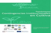Versión 1. Documento con caracterización e indicadores y ...€¦ · Dora Inés Calderón - Coordinadora Cultiva-UDFJC EVALUADORES Dr. Ángel San Martín Alonso -Universitat de