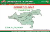 AGROECOLOGIA - Uniamazonia...SITUACION DE LA GANADERIA EN COLOMBIA •Aporta el 3.6% del PIB •Entre 30 y 38 millones de Has. en pastos •0.75 y 0.60 animales por Ha. •Consumo