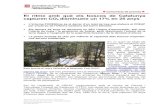 El ritme amb què els boscos de Catalunya capturen CO2 ...€¦ · Comunicat de premsa El ritme amb què els boscos de Catalunya capturen CO 2 disminueix un 17% en 25 anys • L’informe