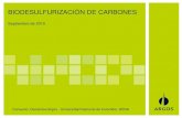 BIODESULFURIZACIÓN DE CARBONES · 2011. 12. 6. · OBJETIVO Evaluar el proceso de biodesulfurización de carbones, empleando microorganismos, como alternativa biotecnológica para