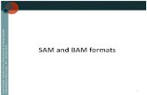 i a i SAM and BAM formats - Institut Pasteur · alignment file • SAM stands for Sequence Alignment/Map format • A single SAM file can store mapped, unmapped, and even QC-failed