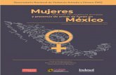 Mujeres - gob.mx · 2018. 9. 4. · Coordinadora del proyecto y Directora Ejecutiva de Desarma México. ... denunciacontragobiernomexicanorapidoyfurioso . Mujeres procesadas 7 Los