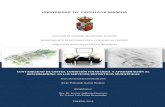 UNIVERSIDAD DE CASTILLA-LA MANCHA - Grupo Igoidigoid.uclm.es/Tesis/Tesis_JorgeGarciaUnanue.pdf · universidad de castilla-la mancha facultad de ciencias del deporte (toledo) departamento