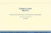 Álgebra Lineal Ma1010 - Teccb.mty.itesm.mx/ma1010/materiales/ma1010-15a.pdfTeoría de la Dimensión en Espacios Vectoriales Álgebra Lineal - p. 3/39 Esta sesión termina con una