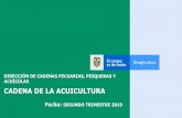 Presentación de PowerPoint - MinAgricultura · 2019. 8. 5. · 1. 10.2, Precios nacionales Cachama 2018* Cadena de la Acuicultura Ministerio de Agricultura y Desarrollo Rural Cifras