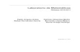 New Pablo Angulo Ardoy Patricio Cifuentes Muñiz Rafael Hernández …matematicas.uam.es/~pablo.angulo/doc/laboratorio.pdf · 2015. 12. 2. · servando el resultado debajo del cuadro.