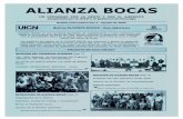 New Documento1 - ALIANZA BOCASalianzabocas.org/documentos/boletin 01.pdf · 2019. 7. 28. · Boletín Informativo Nro 1 - Agosto de 2005 Qué es ALIANZA BOCAS - sus objetivos ALIANZA