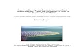 Conservación y Aprovechamiento Sustentable del Tiburón Ballena …fcm.ens.uabc.mx/~enriquez/complementos/proyectos/Tiburon... · 2009. 11. 9. · 3 INTRODUCCIÓN CONSERVANDO AL