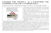 FAUNA EN PERILL A L´ENTORN DE TORRELLES DE LLOBREGATantlaformiga.org/publicacions/pdfs/documents/d128-gener-2013.pdf · 18/6/2009 Esquirol (Sciurus vulgaris) atropellat variant