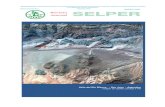 Valle del Río Blanco - San Juan - Argentina Imágen de satélite … · Departamento de Geología San Juan 670 (8000) Bahía Blanca, Argentina Tel: 54 - 291 - 459 5102 - int. 4360