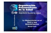 La Malnutrición en el Perú y sus Determinantesbvssan.incap.int/local/file/PubNut-Perú/texcom/nutricion... · 2009. 10. 16. · Factores que explican la desnutrición crónica en
