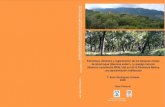 Estructura, dinámica y regeneración de los bosques mixtos de … · 2016. 6. 4. · bosques mixtos de alcornoque (Quercus suberL.) y quejigo moruno (Quercus canariensis Willd.)