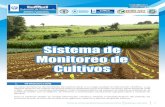 Sistema de monitoreo de cultivos1 Boletín SMC... · 2016. 5. 19. · altiplano, cuando inicie las lluvias en abril y mayo. Sin embargo, existen zonas específicas en Huehuetenango