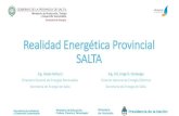 Realidad Energética Provincial SALTA - Argentina...Beneficiarios: Usuarios de energía eléctrica, que instalen en su red interior un equipamiento de Generación Eléctrica de origen