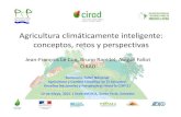 Agricultura climáticamente inteligente: conceptos, retos y ...agritrop.cirad.fr/580354/1/agricultura_climaticamente-inteligente-CIRAD.pdfAgricultura climáticamente inteligente: conceptos,