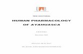 HUMAN PHARMACOLOGY OF AYAHUASCA - UAB Barcelona · 2004. 7. 1. · ayahuasca, which also designates the plant the beverage is made from, is used in Peru and some areas of Ecuador