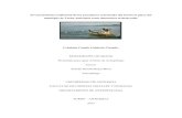 El conocimiento tradicional de los pescadores artesanales ...bibliotecadigital.udea.edu.co/bitstream/10495/14040/1/CalderonCrist… · El conocimiento tradicional de los pescadores