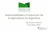 Sustentabilidad y Producción de la Agricultura en Argentina de... · 2014. 5. 14. · en el Dto. Pehuajó (Pehuajó-T.LauquenC.Tejedor- -C.Casares-Rivadavia • En 1980 se sembraron