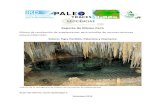 Reporte de Mision Perú - Cuevas y Tragaderos de Perú y ...€¦ · Reporte de Mision Perú Mision de recolección de espeleotemas para estudios de reconstrucciones paleoambientales.
