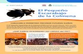 El Pequeño Escarabajo de la Colmena - Argentina.gob.ar · 2016. 6. 9. · el escarabajo es oportunista puede esperar hasta un aÑo para comenzar a reproducirse. el control del escarabajo