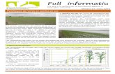 Full informatiu³ sembra en sec.pdf · Baix Ebre i Montsià Número 15, març 2018 Fertilització de l’arròs en sembra en sec L’absorció del nitrogen •FASE 1: comprèn des