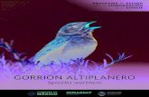 GORRIÓN ALTIPLANERO · 2019. 3. 21. · GORRIÓN ALTIPLANERO 7 El presente Programa de Acción para la Conservación de la Especie (PACE): Gorrión Altiplanero (Spizella wortheni)