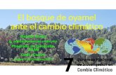 El bosque de oyamel ante el cambio climático...El bosque de oyamel ante el cambio climático Gabriel Araiza g_araiza@ciencias.unam.mx Posgrado en Geografía, UNAM Cede: Centro Lunes
