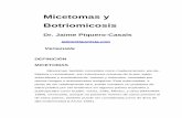 Micetomas y Botriomicosis - Antonio Rondon Lugo€¦ · actinomicetomas para 30% de eumicetomas (LACAZ 1981; CASTRO et al, 1993). En México los actinomicetomas son responsables por