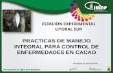 PRACTICAS DE MANEJO INTEGRAL PARA CONTROL DE …anecacao.com/uploads/SEMINARIOS/practicas-de... · En los años 1.916 a 1.925, la producción de cacao en el Ecuador sufrió un marcado