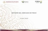 REPORTE DEL MERCADO DE TRIGO JUNIO 2020...2010/11 2011/12 2012/13 2013/14 2014/15 2015/16 2016/17 2017/18 2018/19 2019/20p Superficie Sembrada de Trigo Panificable por Ciclo Agrícola
