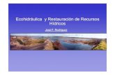 Ecohidráulica y Restauración de Recursos Hídricos...Restauración de humedales Motivación y antecedentes Aves migratorias • Viajan enormes distancias entre lugares de cría y