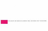 asey.gob.mx · Colegio de Bachilleres del Estado de Yucatán Resultado de la Revisión y Fiscalización de la Gestión Financiera Cuenta Pública 2017 ANTECEDENTES. La entidad fiscalizada