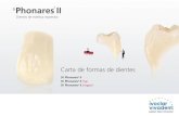 DIENTES ANTERIORES · Para seleccionar un juego de dientes anteriores del ancho apropiado en la carta de formas de dientes se puede utilizar como referencia la longitud del arco dental,