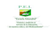 P.E.I. - Comunidad EscolarEl Proyecto Educativo Institucional –PEI– es entendido como el instrumento que permite plasmar la propuesta educativa del establecimiento educacional,