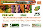 Red de Innovación de Investigación y Desarrollo - FONTAGRO...folleto) Héctor Villamil (McCain) 2.4.4 Ensayos de afinamiento del manejo agronómico de 4 nuevas variedades de papa