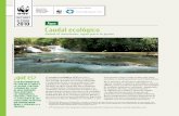 Caudal ecológico...El caudal ecológico (CE) en ríos y humedales es un instrumento de gestión que permite acordar un manejo integrado y sostenible de los recursos hídricos1, que