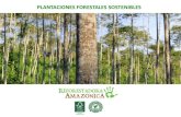New PLANTACIONES FORESTALES SOSTENIBLES · 2020. 1. 25. · Plantaciones con fines comerciales: Perú tiene aproximadamente 35,000 hectáreas de plantaciones forestales bajo buen
