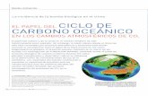 CICLO DE CARBONO OCEÁNICO - Mapfre · 2011. 9. 26. · cambio climático derivado del aumento antropogénico de emisiones de CO 2 en la ... La extensión de los glaciares de alta