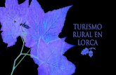 TURISMO RURAL EN lorca - LAGUIAW · recuerdo de la estancia del visitante en Lorca: las jarapas de Coy, los trajes populares, la Jarra de Novia, objetos de alfarería, cestería,