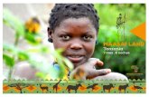PARQUE NACIONAL KILIMANJAROsafaribikeafrica.com/rutas/SBA_Maasai_Land_1w_2017_ES.pdf · herbáceas, plantas con flor, baobabs, arbustos y plantas espinosas, y sobre todo se encuentra