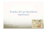 Estudio del eje hipotálamo hipofisario€¦ · en el hueso esfenoides (“Silla turca”). Unida al hipotálamo por el tallo hipofisario. y Hipófisis anterior (Adenohipófisis):