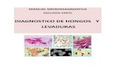 DIAGNOSTIO DE HONGOS Y LEVADURASlablinsan.cl/manual/MANUAL_PARTE_2.pdf · Micosis producida por un grupo de hongos dematiaceos, tales como Fonse-cae pedrosoi, Fonsecae compactum,