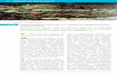 Manual de Hábitat de España - Transición Ecológica€¦ · Se trata de lagos, lagu-nas, charcas y otros medios acuá-ticos estancados1 con aguas más o menos ricas en nutrien-tes2,