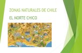 ZONAS NATURALES DE CHILE - Escuela Las Palmasescuelalaspalmas.cl/wp-content/uploads/2020/04/3.-TAREA-MARTE… · Title: ZONAS NATURALES DE CHILE Author: Marcia Created Date: 6/14/2020