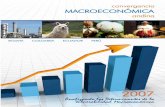 Convergencia MACROECONÓMICA Andina€¦ · 8 Convergencia MACROECONÓMICA Andina 2007 Analizando los Determinantes de la Vulnerabilidad Macroeconómica Desempeño macroeconómico