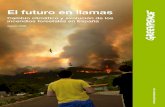 Cambio climático y evolución de los incendios forestales ...€¦ · Grandes incendios forestales (GIF) - incendios que afectan a una superficie igual o mayor de 500 hectáreas.